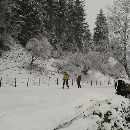 Daire Paul-s Bad Hofgastein