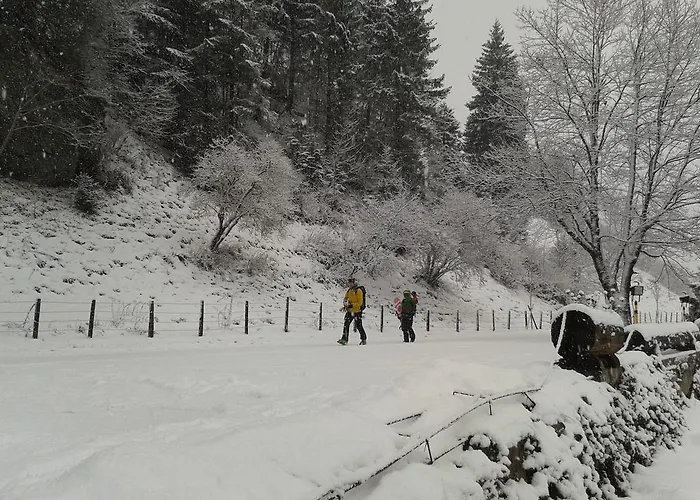 Apartament Paul-s Bad Hofgastein